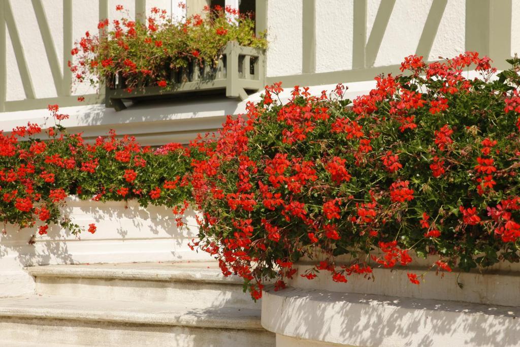 Manoir De Benerville Acomodação com café da manhã Deauville Exterior foto